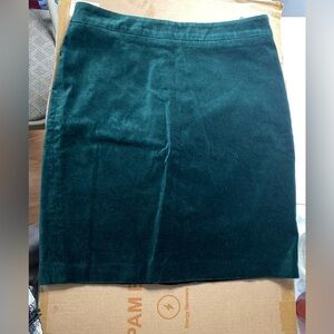 Elegant Green Velvet Skirt
